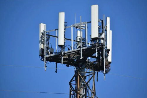 大模型催生創(chuàng)紀錄收購案，5G與AI制藥齊頭并進 圖靈周報聚焦網(wǎng)絡設備制造新機遇